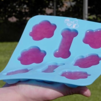 Hunde Isblandingsbakke CoolPets