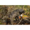 Vildt liv hund due L12cm Vildt liv hund due L12cm