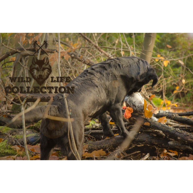 Vildt liv hund due L12cm Vildt liv hund due L12cm