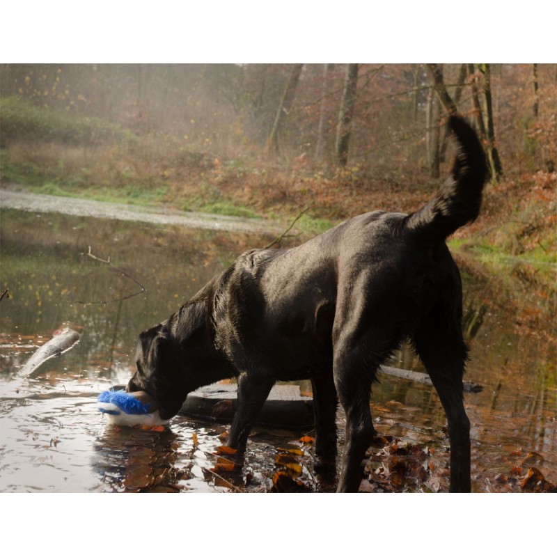 Hund And L25cm Wild Life