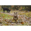 Vildt liv Hund Kanin L24cm Vildt liv Hund Kanin L24cm