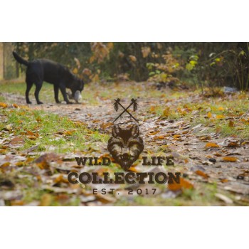 Hundelegetøj Kanin L24cm Wild Life Hundelegetøj Kanin L24cm Wild Life