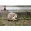 Vildt liv Hund Pindsvin L18cm Vildt liv Hund Pindsvin L18cm