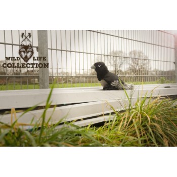 Hundelegetøj Ravn L21cm Wild Life Hundelegetøj Ravn L21cm Wild Life