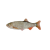Vildt liv Kat Kakerlak L13cm Vildt liv Kat Kakerlak L13cm