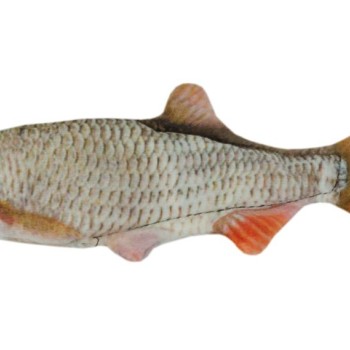 Kattelegetøj Kat Kakerlak L13cm Wild Life Kattelegetøj Kat Kakerlak L13cm Wild Life