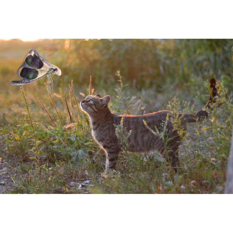 Vildt liv kat guldsmed L10cm Vildt liv kat guldsmed L10cm