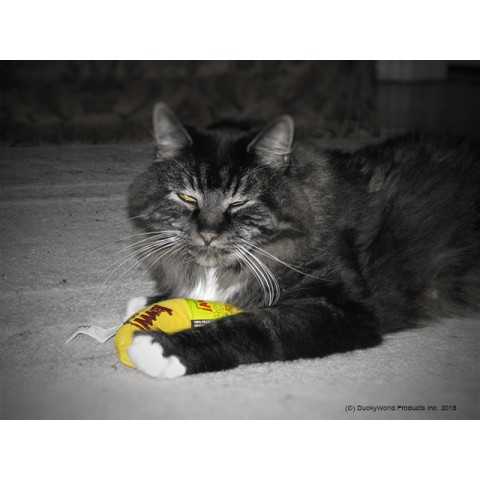 Chicata Banan  L16cm Yeowww!