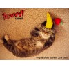 Yeowww! Chicata Banan L16cm Yeowww! Chicata Banan L16cm