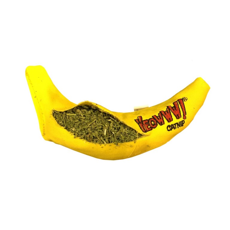 Chicata Banan  L16cm Yeowww!