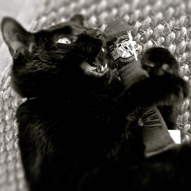 Cigarbrun L3cm Yeowww!