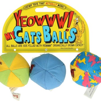 Mine kattebolde Yeowww!