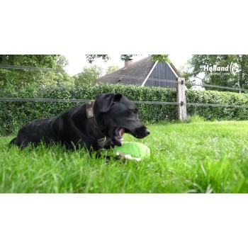 Fuzzle med en pivende bjørn