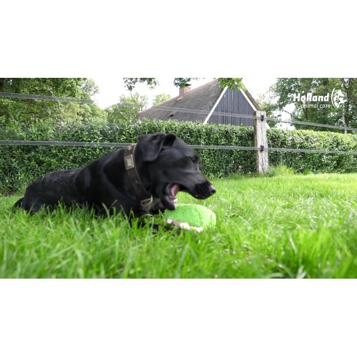 Fuzzle Hedgie Træk mig rød