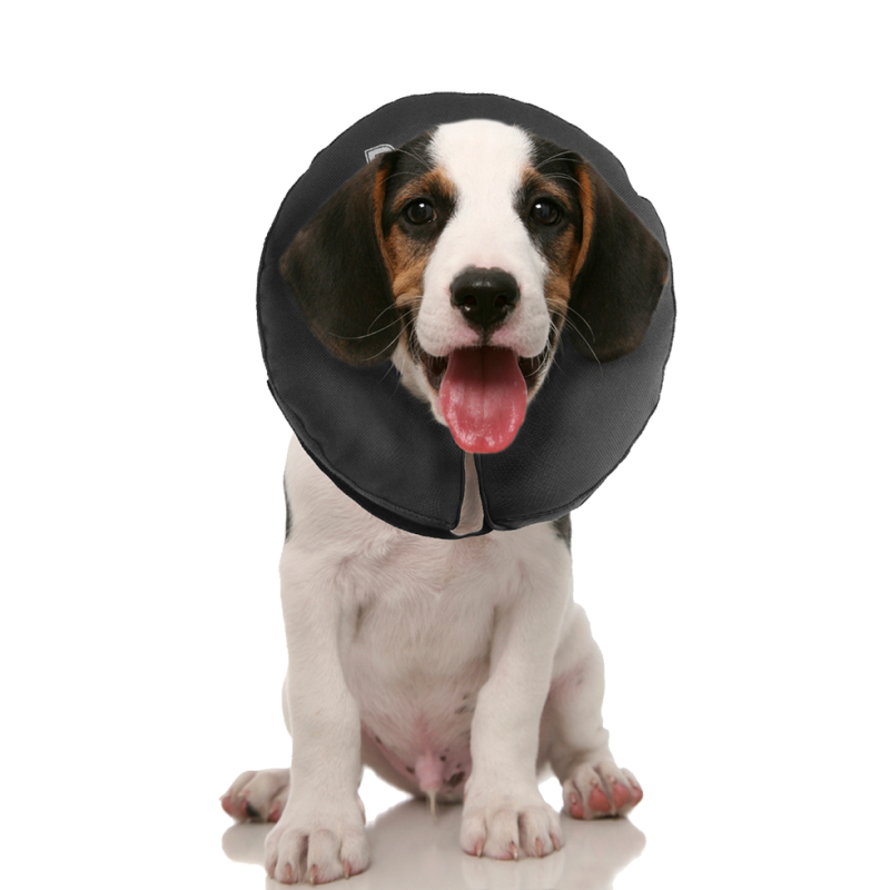 Zenpet ProCollar XS Halskrave Zenpet ProCollar XS Halskrave