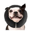 Zenpet ProCollar M Halskrave Zenpet ProCollar M Halskrave