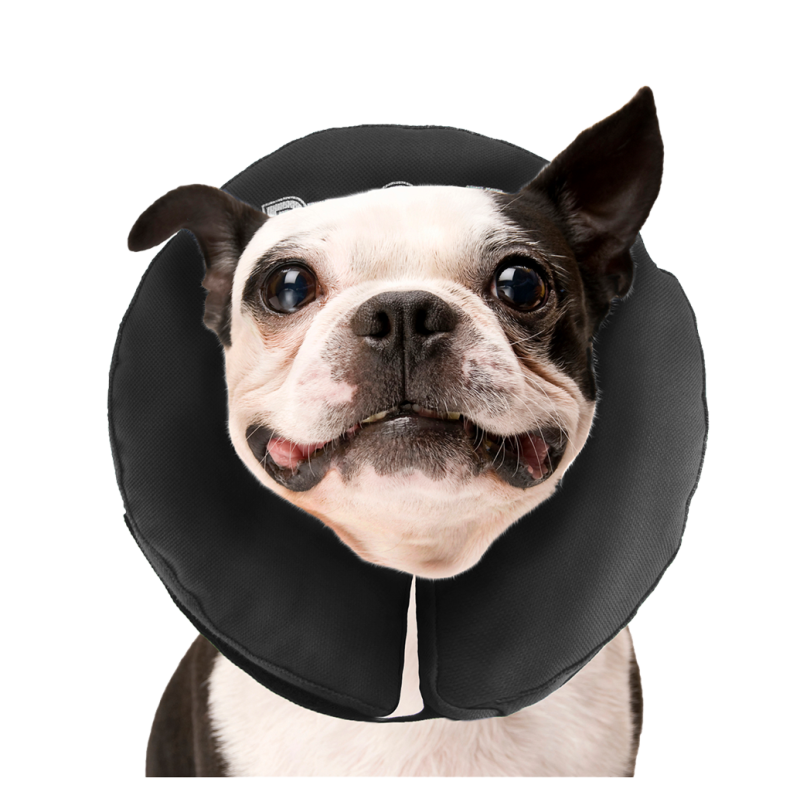 Zenpet ProCollar M Halskrave Zenpet ProCollar M Halskrave
