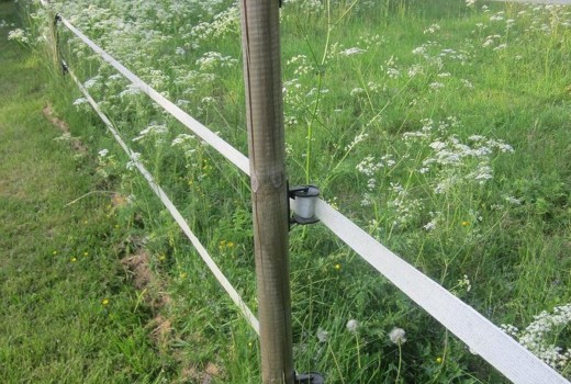 Det Perfekte Hestehegn!