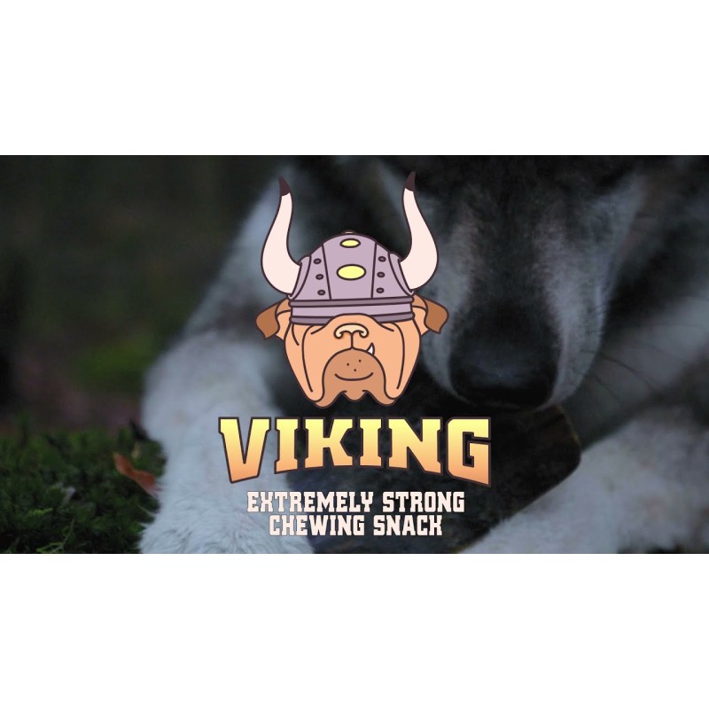 Viking Horn Twist L Viking Horn Twist L