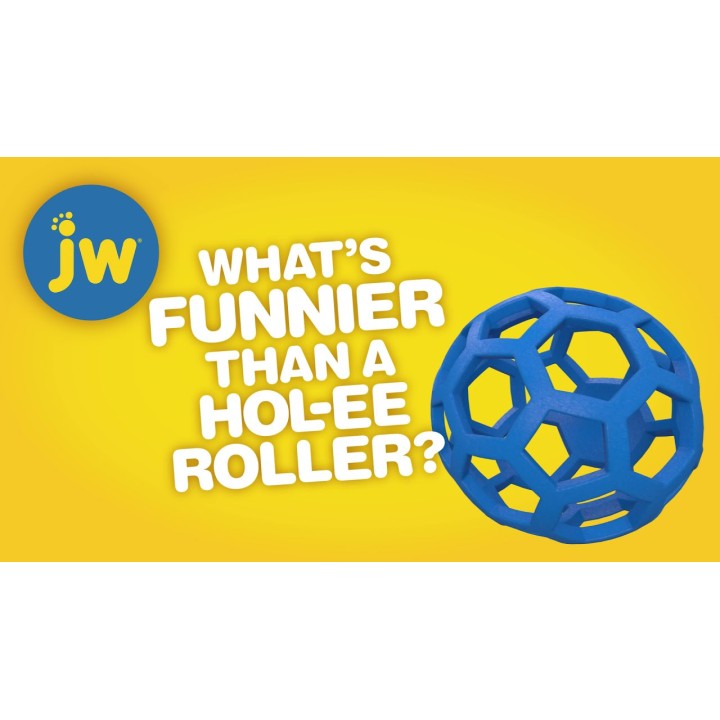 Legebold til hund 11,5cm JW Hol-ee Giggler