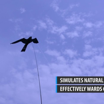 Birdshield Reserveskjold L85cm Birdshield Reserveskjold L85cm