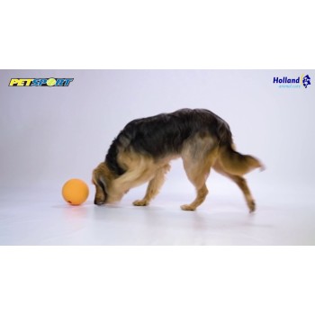 Kingpin Kibbler Apport Sort Petsport