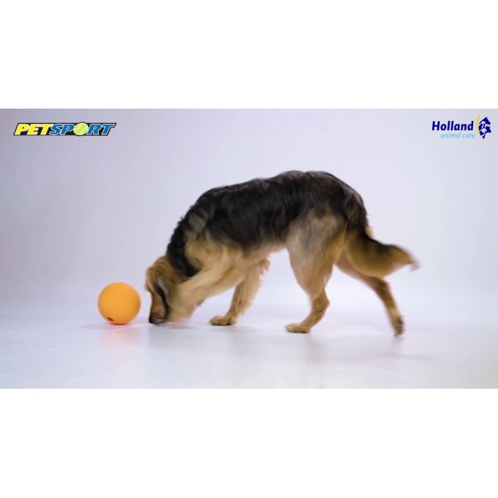 Kingpin Kibbler Apport Sort Petsport