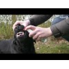 Excellent Pets Tandspray til mundhygiejne 150 ml Excellent Pets Tandspray til mundhygiejne 150 ml