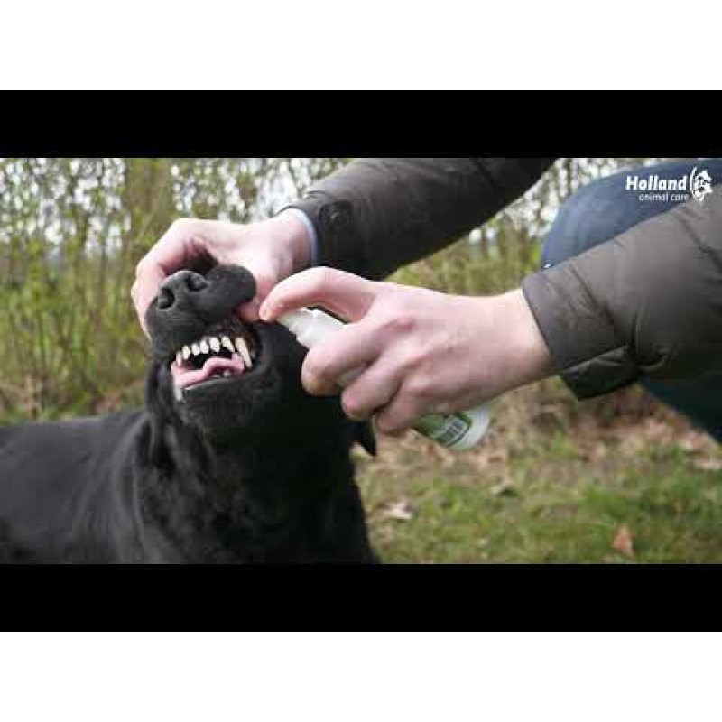 Excellent Pets Tandspray til mundhygiejne 150 ml Excellent Pets Tandspray til mundhygiejne 150 ml