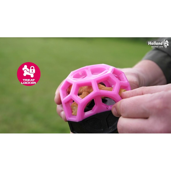 Månesten Godbidsterning Orange Dog Comets