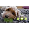 Dog Comets Exoplanet Spiky Ball M Orange Dog Comets Exoplanet Spiky Ball M Orange