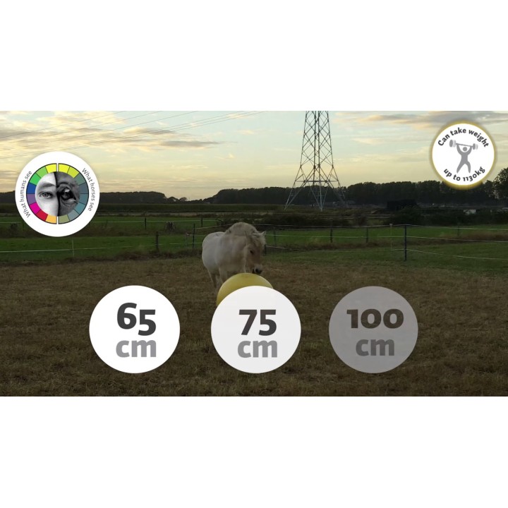 Power Play-bold 75 cm Maximus