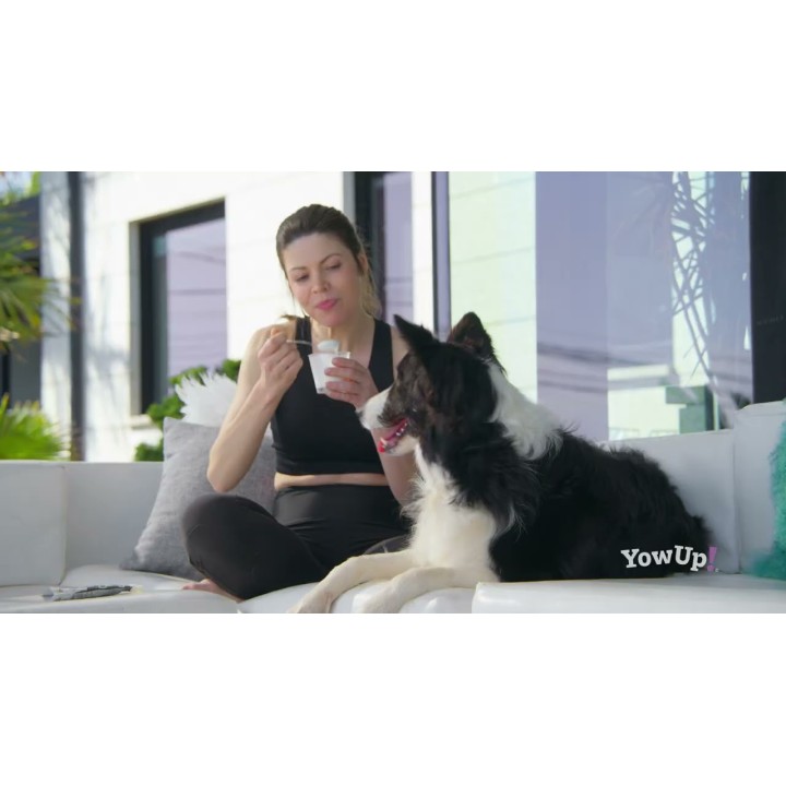 Yoghurt Katte Lakseskind YowUp!