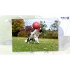 Jolly Tug-n-Toss Rød M (15 cm) Jolly Tug-n-Toss Rød M (15 cm)