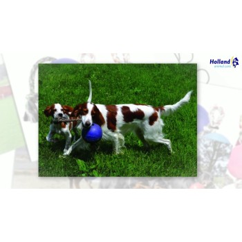 Romp-n-Roll Rød M (15 cm) Jolly