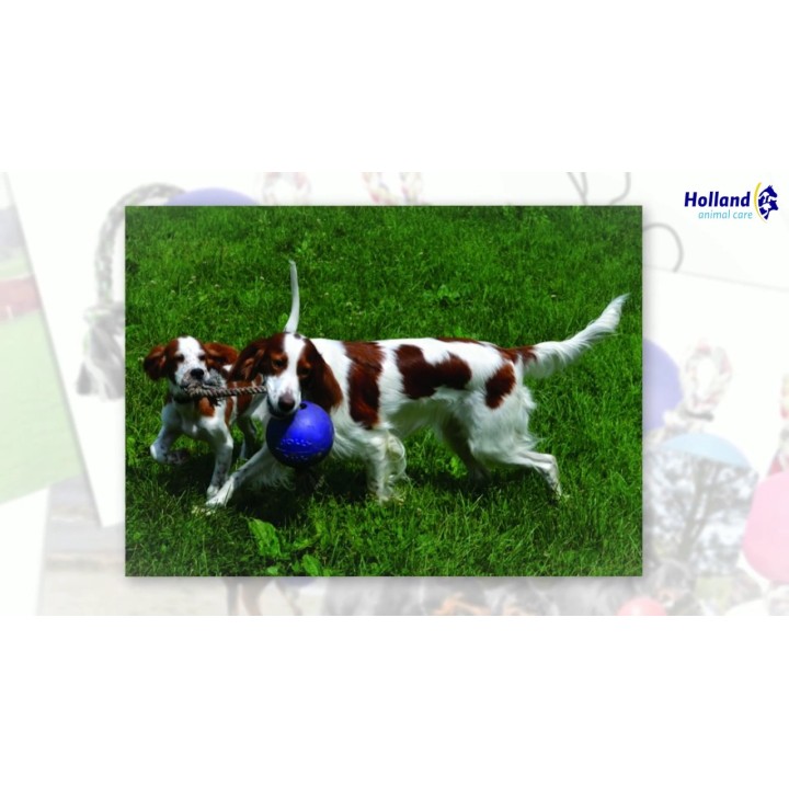 Legebold Romp-n-Roll Blå medium 15 cm  Jolly