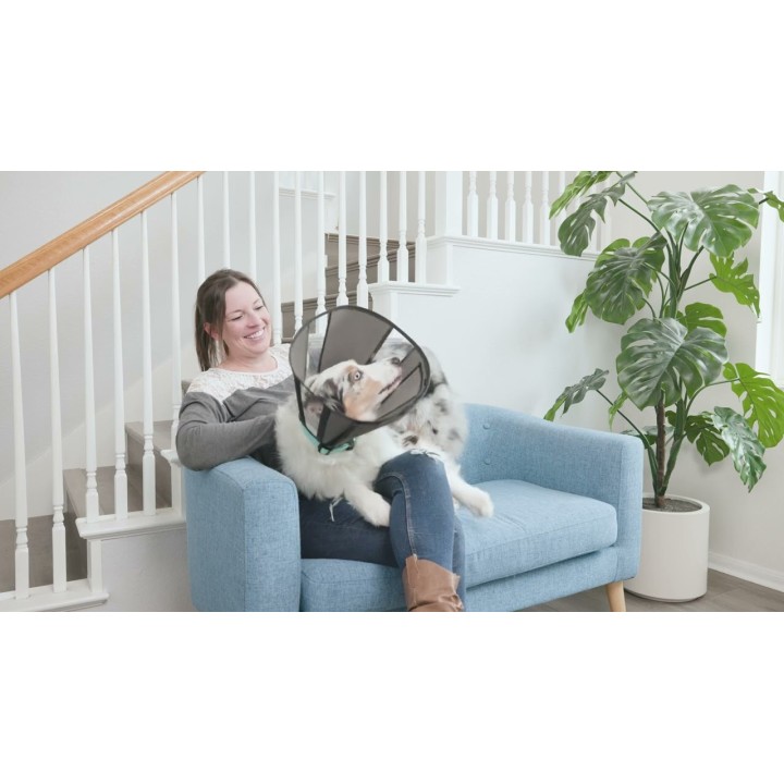 Procone S Halskrave Zenpet