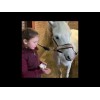 Lucky Horse Enhjørningshestegodbidder Lucky Horse Enhjørningshestegodbidder