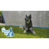 CoolPets Shade Mate CoolPets Shade Mate