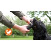 Dog Comets Meteor kastestok Grøn S Dog Comets Meteor kastestok Grøn S
