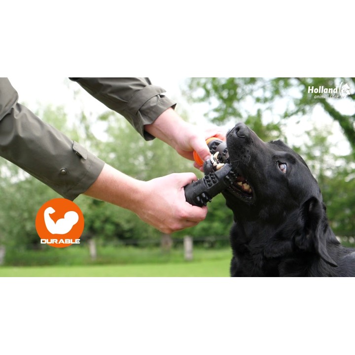 Meteor kastestok Grøn S Dog Comets