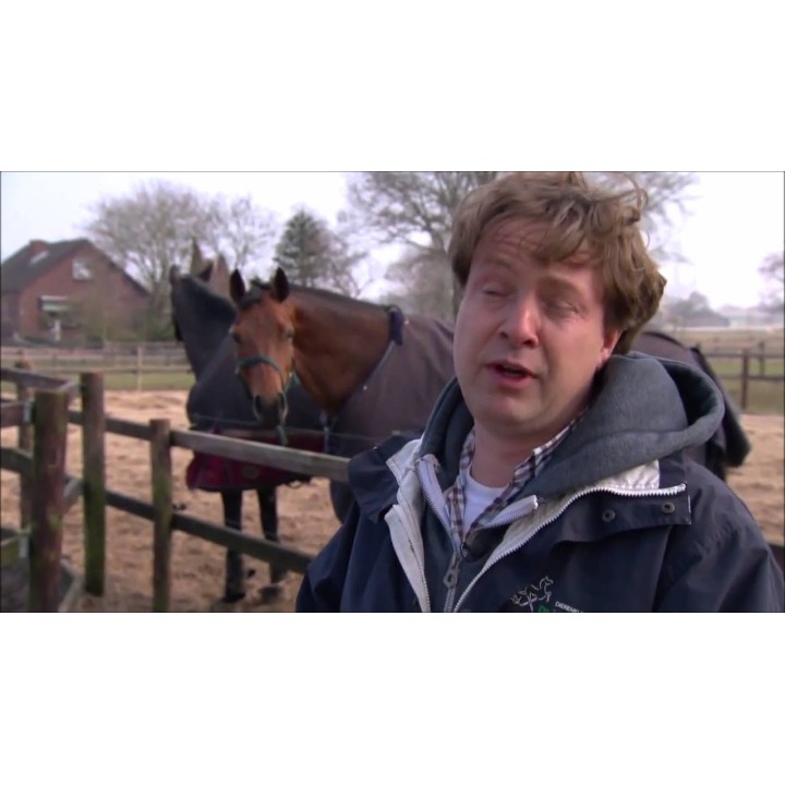 Legebold til hest Ocean Green Jolly