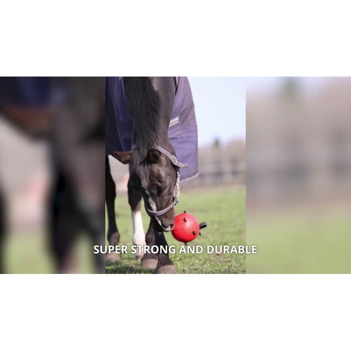 Hest legebold grøn 20cm Maximus Excellent Horse