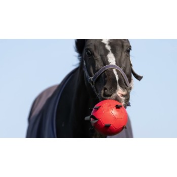 Hest legebold blå 20cm Maximus Excellent Horse Hest legebold blå 20cm Maximus Excellent Horse