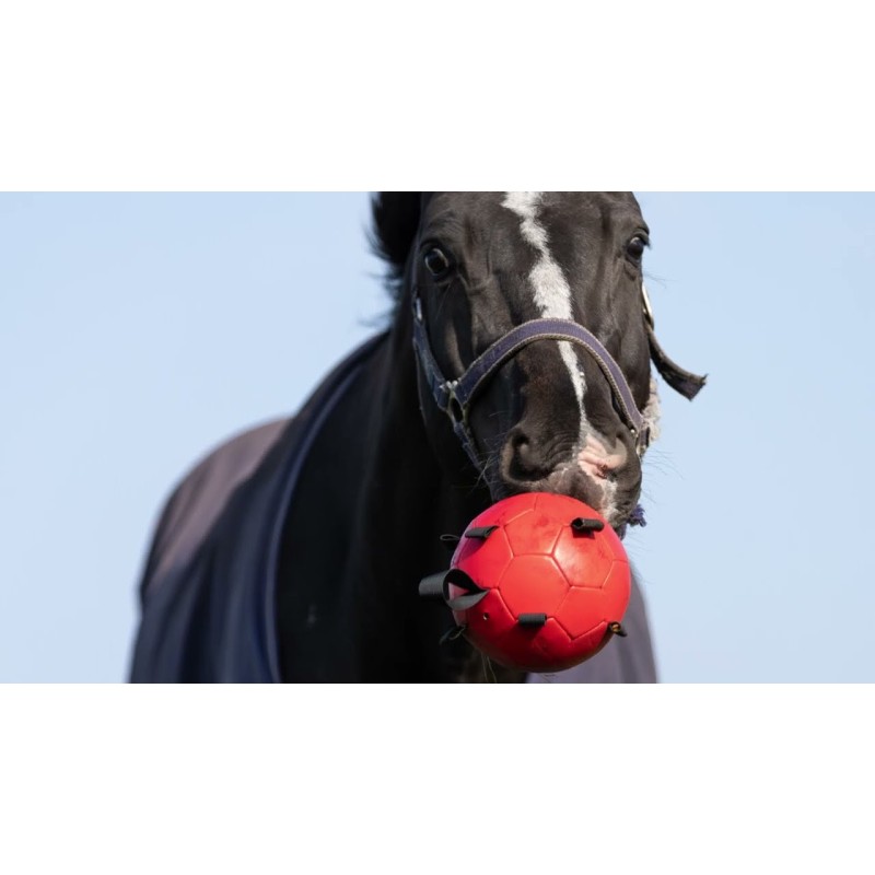Excellent Horse Maximus Sjov legebold gul 20cm Excellent Horse Maximus Sjov legebold gul 20cm