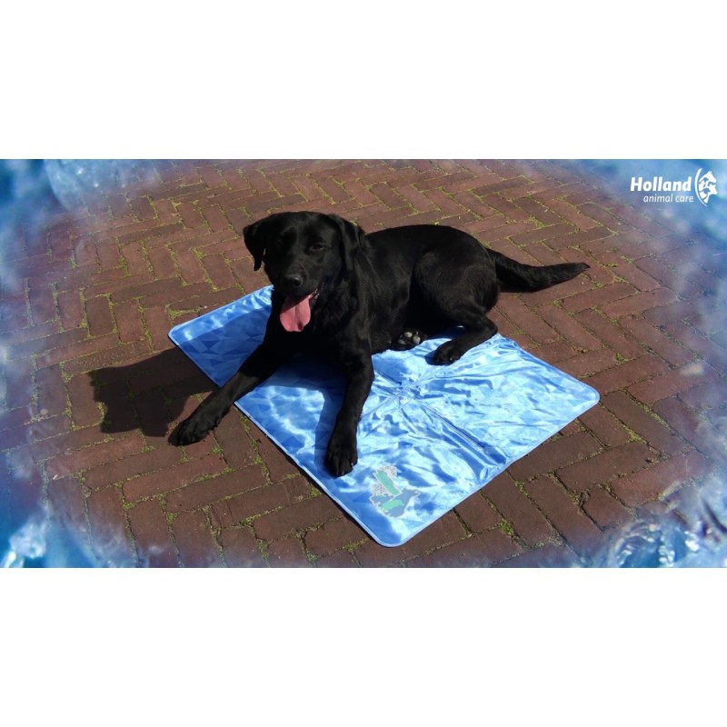 CoolPets Hundemåtte 24/7 Skridsikker Betræk XL CoolPets Hundemåtte 24/7 Skridsikker Betræk XL