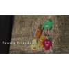 Excellent Horse Foodie Friends Raspberry Excellent Horse Foodie Friends Raspberry
