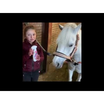 Enhjørnings Knuffel Spray Lucky Horse