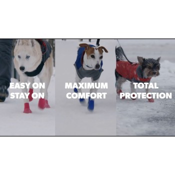 Hundestøvler Lites 4 stk. XS Rød/Sort Goo-eez Hundestøvler Lites 4 stk. XS Rød/Sort Goo-eez