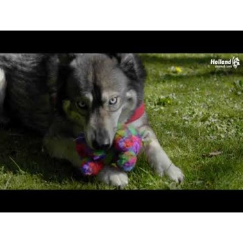 Hundebamse Giraf - L FantaZoo Hundebamse Giraf - L FantaZoo